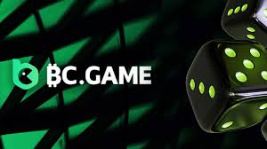 Exploring BC Game Nepal A New Wave in Online Gaming