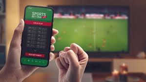 Explore Betwinner The Premier Online Betting Platform