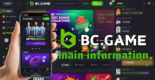 Experience Thrills with BC.Game Plinko App
